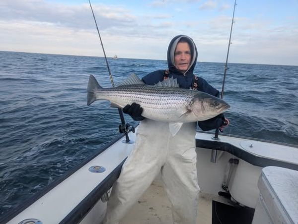 Jessie James Charters