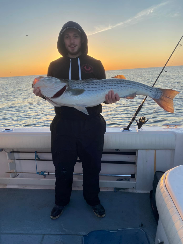 Tuna Homicide
