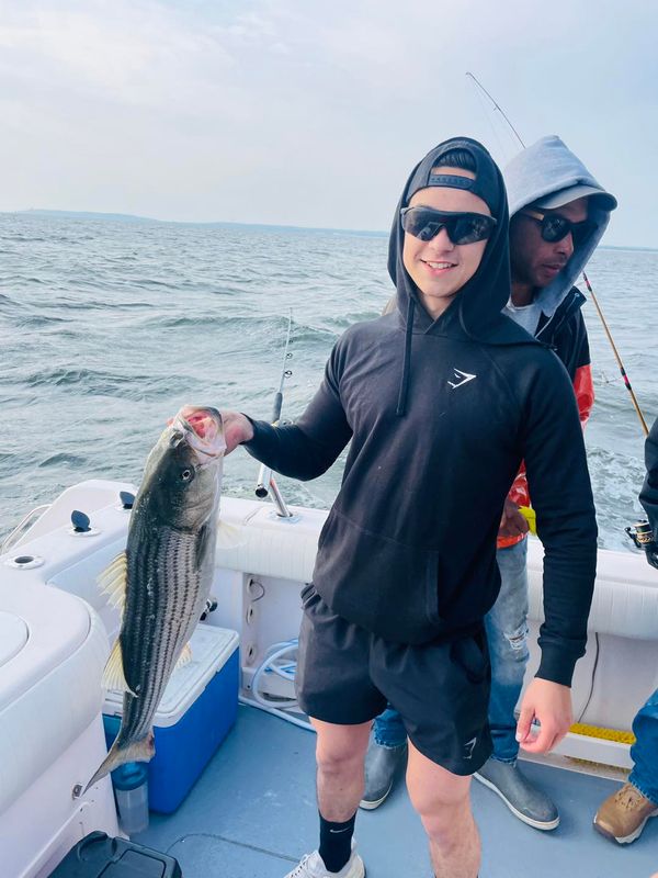 Tuna Homicide