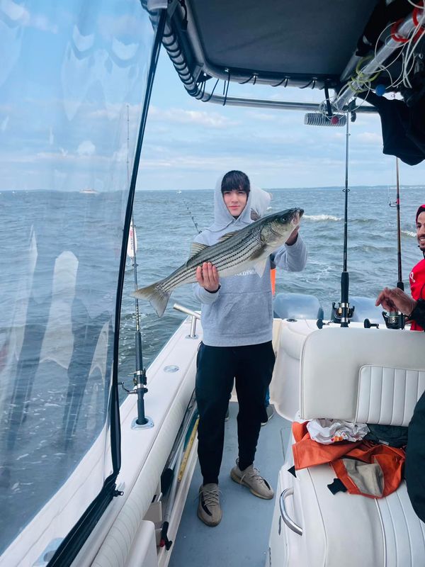 Tuna Homicide