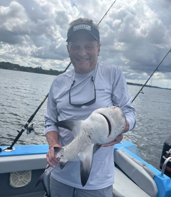 Reelaxin Charters and Weddings LLC