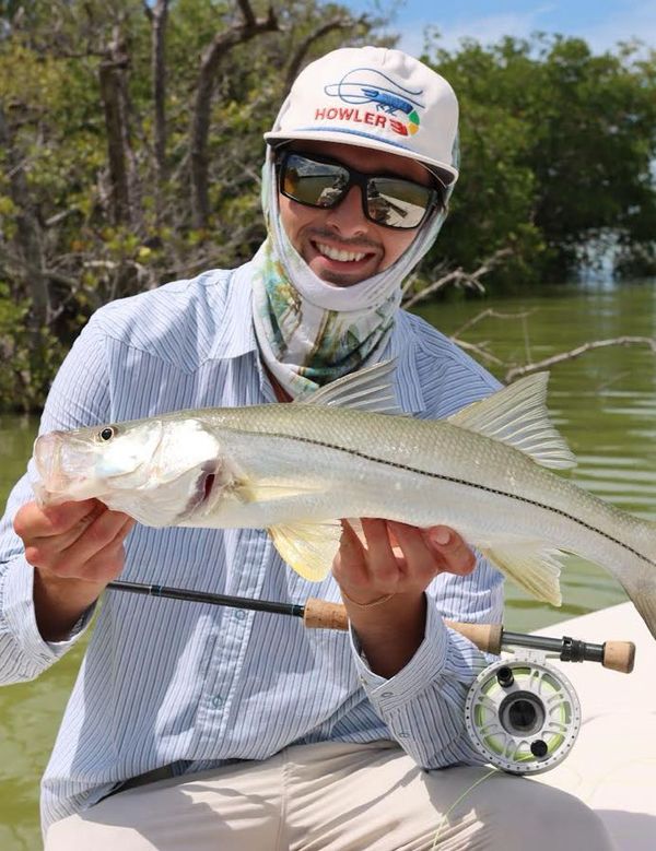 Mangrove Expeditions