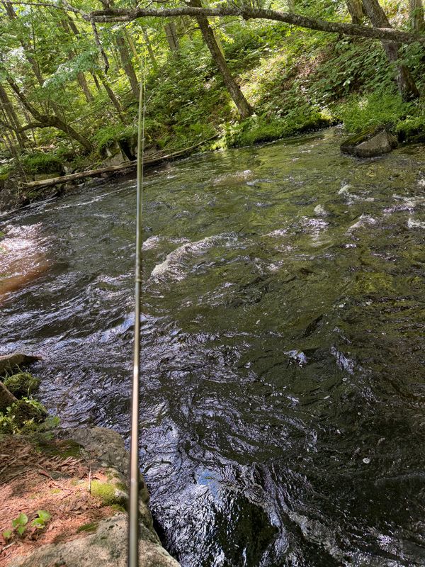 Reel Dill Outfitters