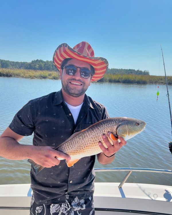Dogfish Charters