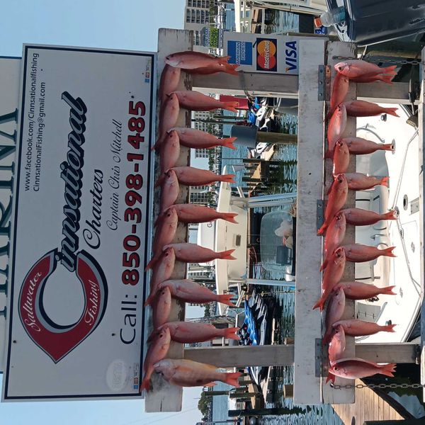 Cinnsational Saltwater Fishing