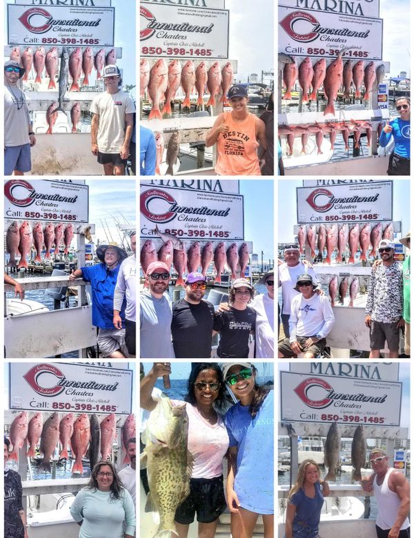 Cinnsational Saltwater Fishing