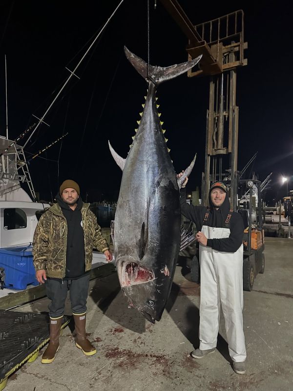 Sea Reaper Sportfishing