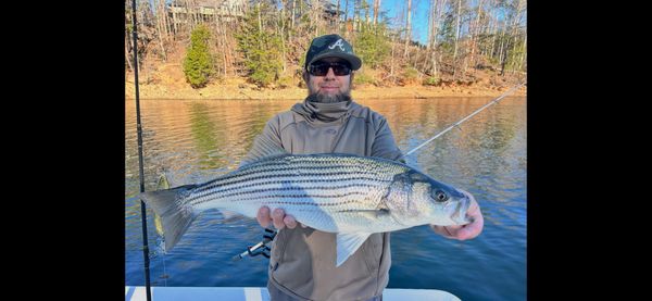 Reel Striper Adventures