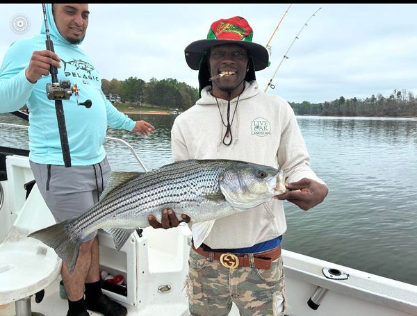 Reel Striper Adventures
