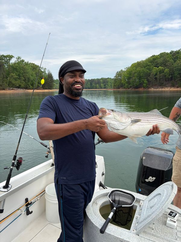 Reel Striper Adventures
