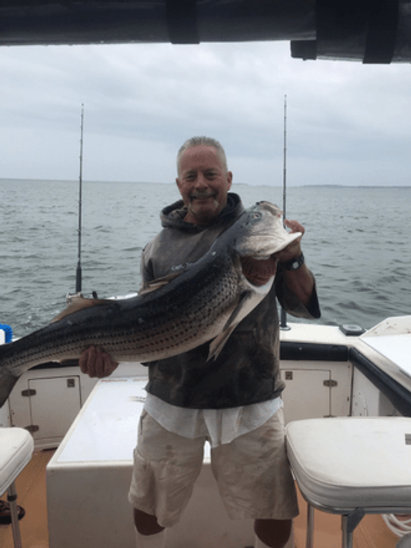Specialty Charters Sportfishing