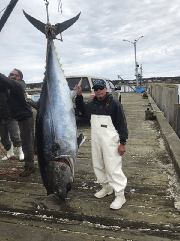 Specialty Charters Sportfishing