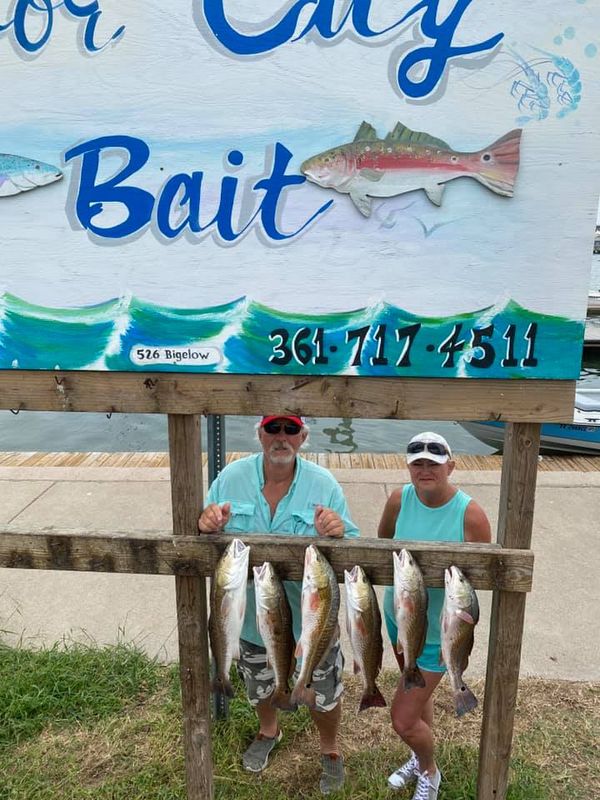 Seidel's Guide Service