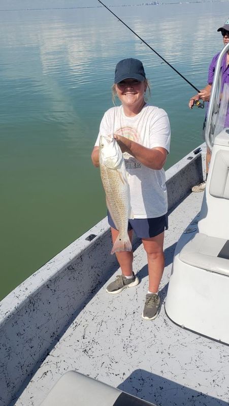 Seidel's Guide Service