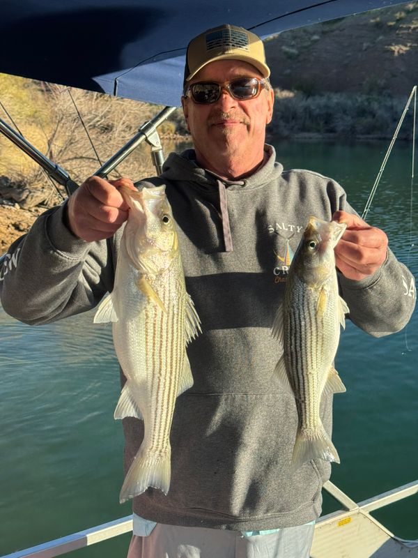 Capt.Kenne Charters LLC