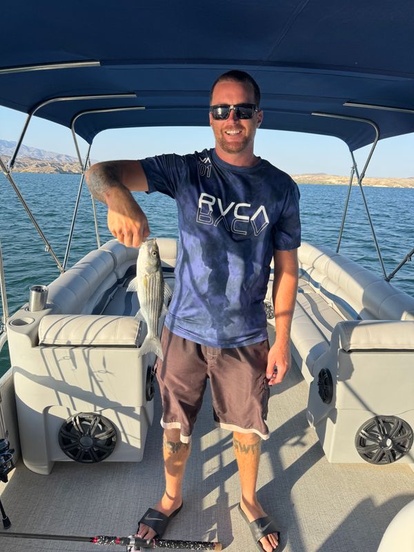 Capt.Kenne Charters LLC