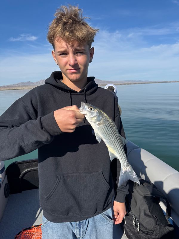 Capt.Kenne Charters LLC