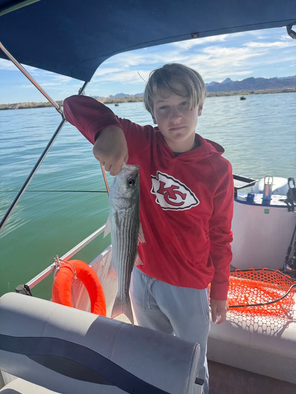 Capt.Kenne Charters LLC