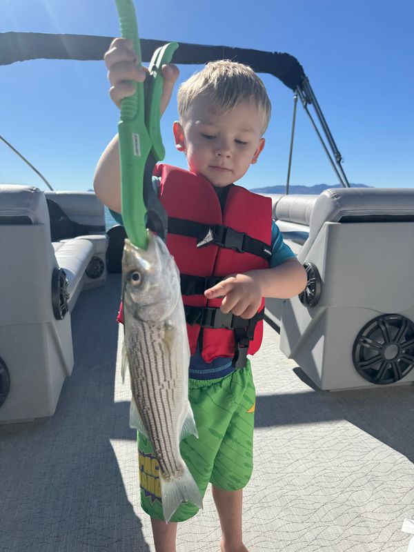 Capt.Kenne Charters LLC