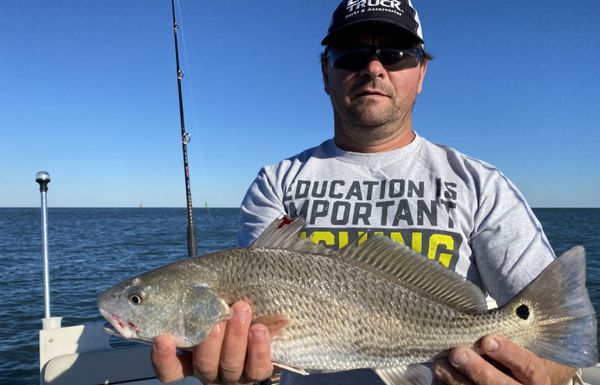 Green Reaper & Reel Steel Fishing Charter