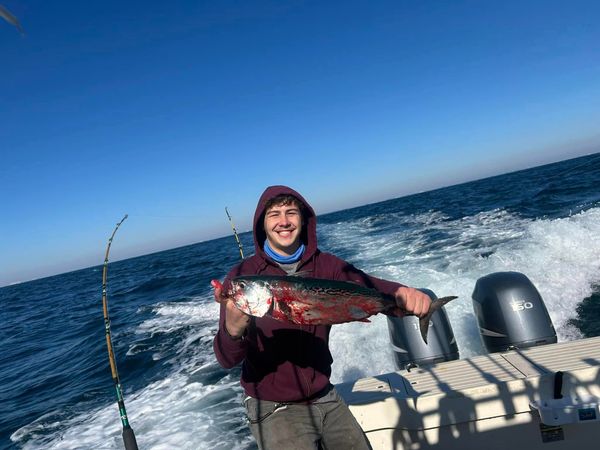 Spiked Sportfishing Charters