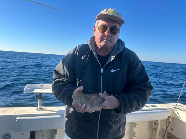 Spiked Sportfishing Charters