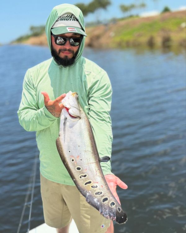 Dirty 30 Charters