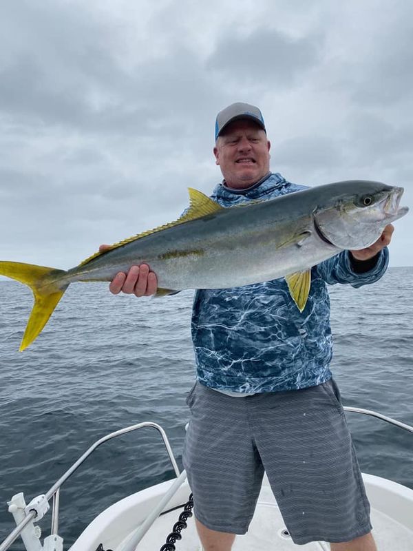 Nemo Charters