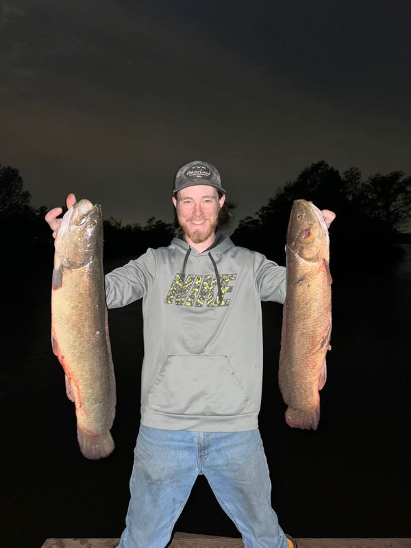 Stick and Stack Bow Fishing
