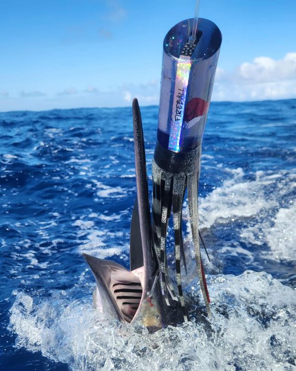 High Flier Sportfishing