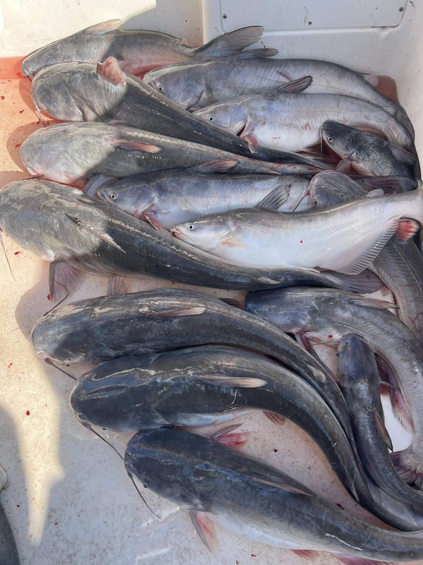 McBride Outside Guide Service 