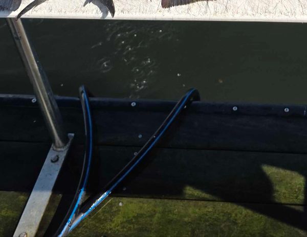 Morris Aquatic Charters