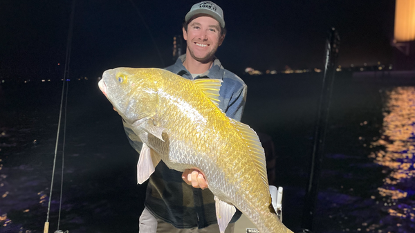 Lock It Down Sportfishing