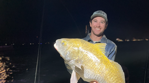 Lock It Down Sportfishing