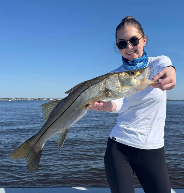 Sea Shift Charters