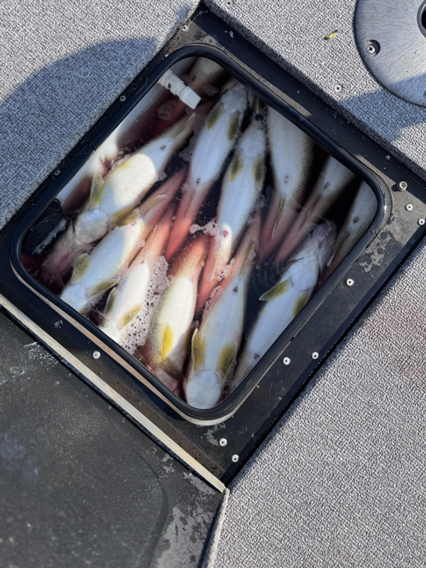 Angling Edge Charters