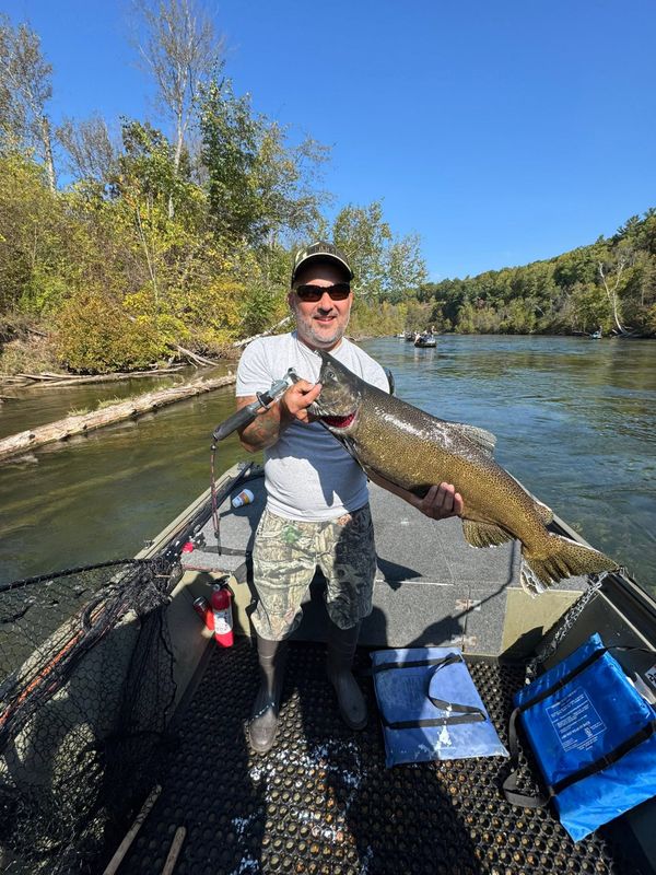 Steelhead Fanatics Guide Service