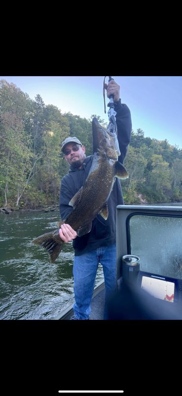 Steelhead Fanatics Guide Service