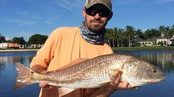 Naples Fishing Charters with Chasin' Tails