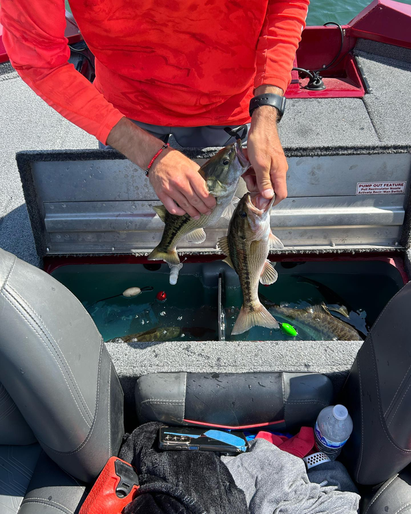 JoeFish Guiding