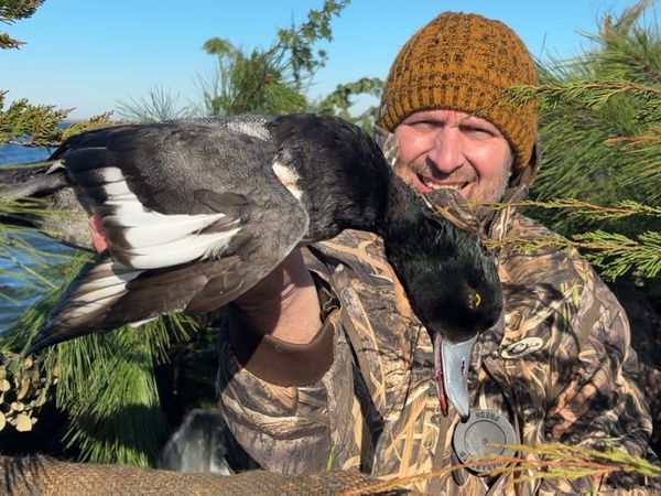 Above C Level Adventures