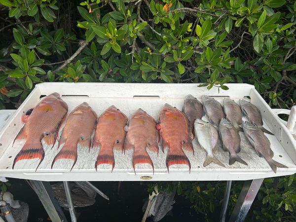 Masi Boys Fishing Charters