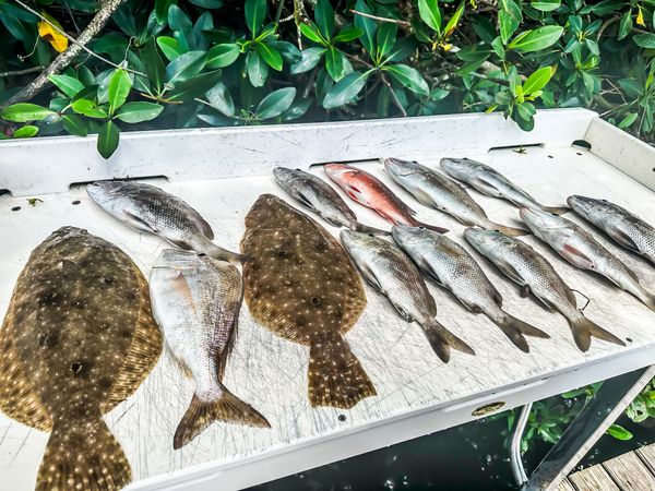 Masi Boys Fishing Charters