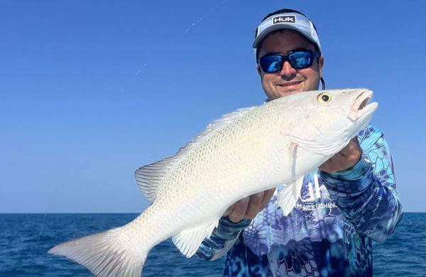 Top Notch Sportfishing