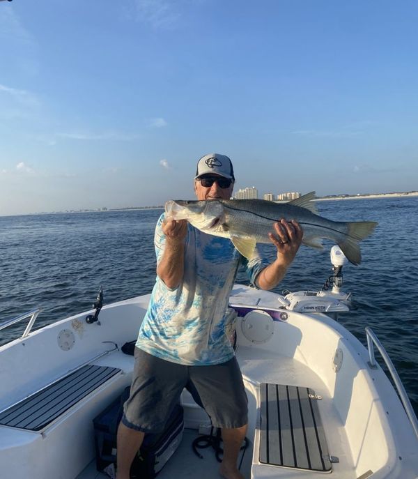 Nauti Diver Charters