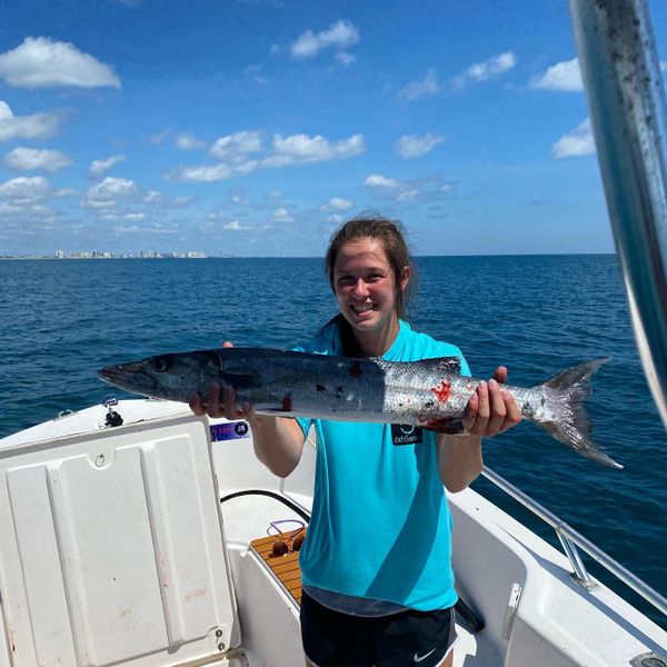 Nauti Diver Charters