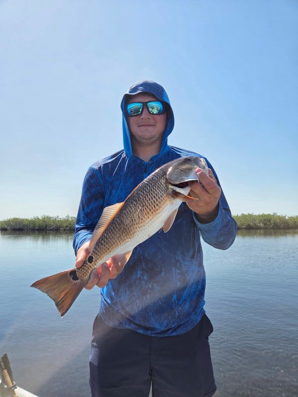 Gulf Of America Fishing Charters