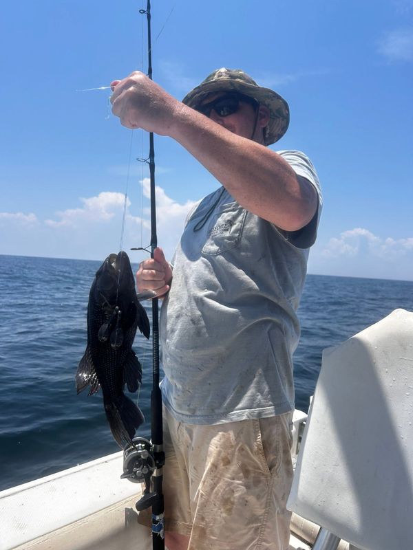 Stellar Charters