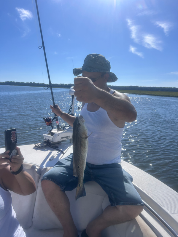 Stellar Charters