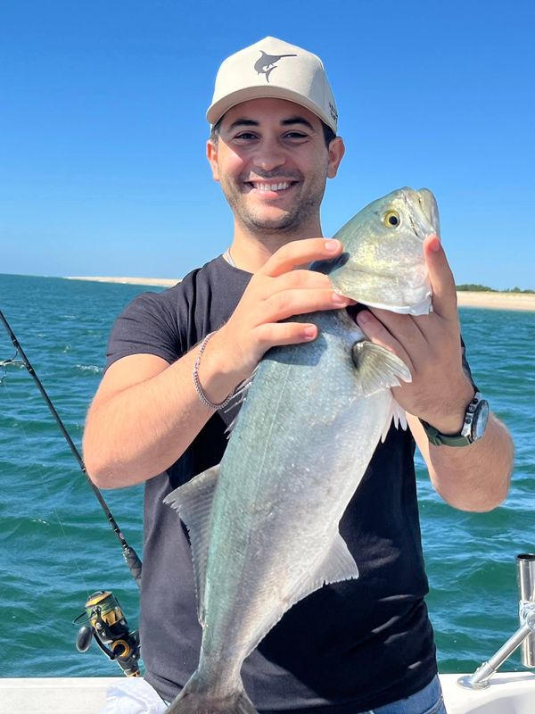 Just One Bite Charters